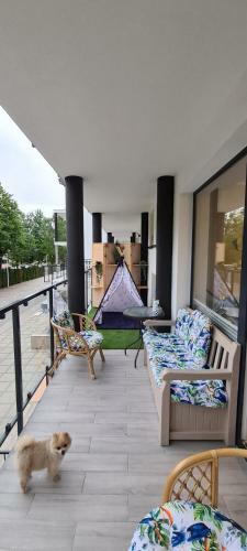 Apartament Irena Jastrz?bia G�ra