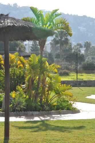 Apartamento Almadraba Playa