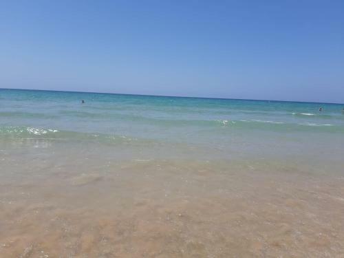 Apartamento La Zarzuela