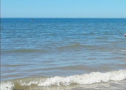 Apartamento En Punta Umbr�a