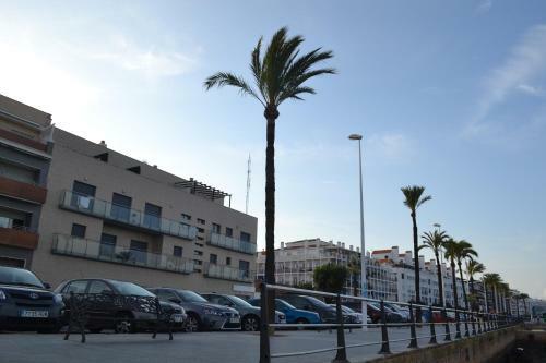 Apartamento Punta Umbr�a Playa Ria
