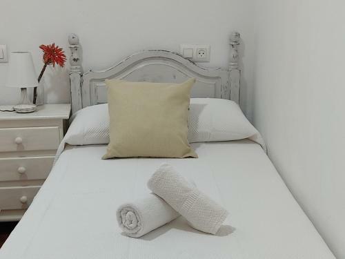 Apartamentos Bolonia