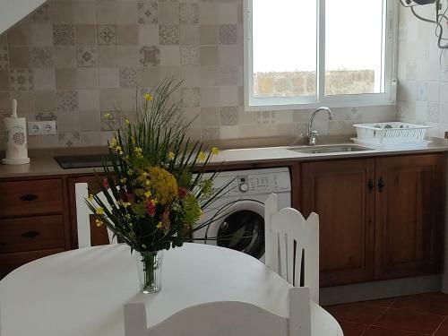 Apartamentos Bolonia