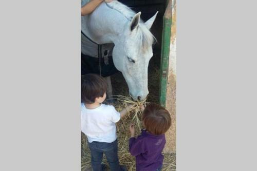 Minichalet Del Sol - Campoamor