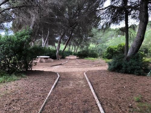 Apartamento Dehesa De Campoamor Los Altos