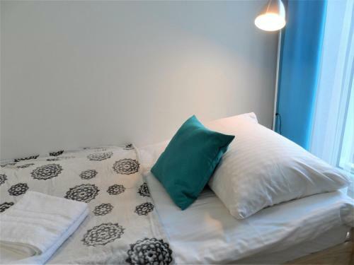 Apartament Dmowskiego - K?pa Mieszcza?ska