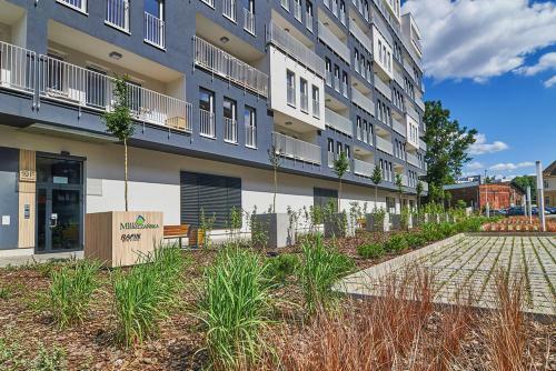 Apartament Dmowskiego - K?pa Mieszcza?ska