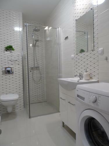 Apartament Dmowskiego - K?pa Mieszcza?ska