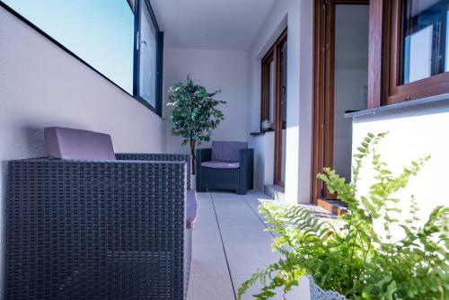 Apartment In The City Center