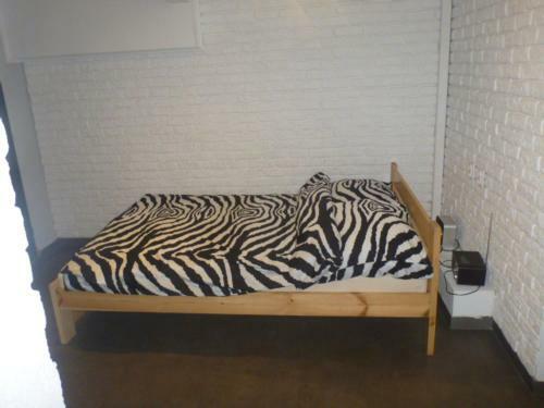 Apartament Kniaziewicza