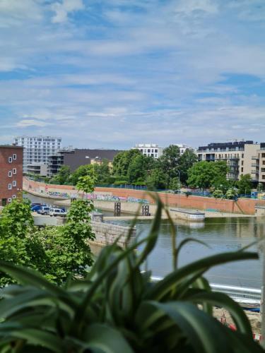 Cosy Apartment ~ Odra River View ~ 150m Main Square