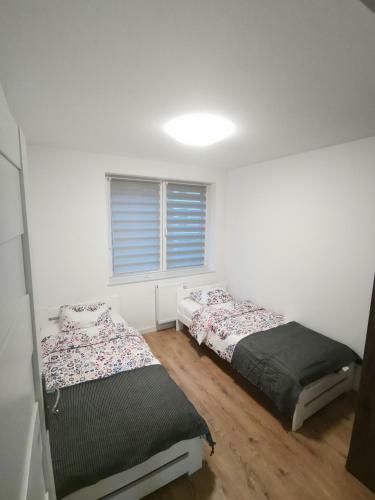 Maglonia Apartment