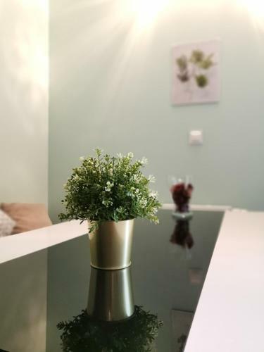 Maglonia Apartment