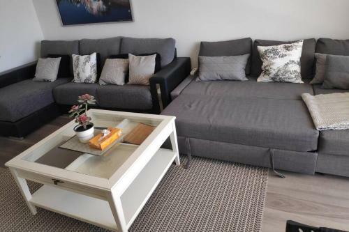 Modern Penthouse Beach Front Apartment