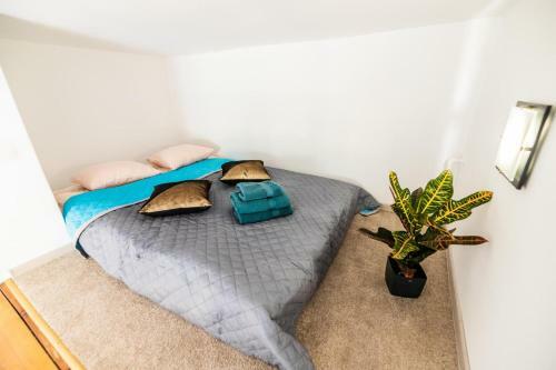 Apartamenty Na Leszczy?skiego