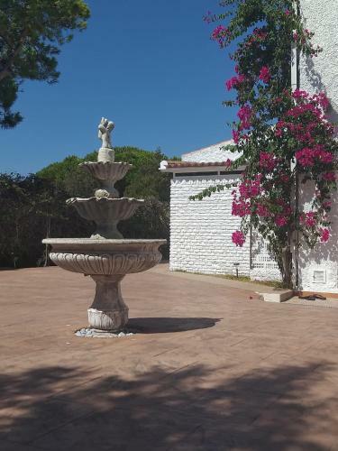 Apartamento Entre Pinos Y Playa