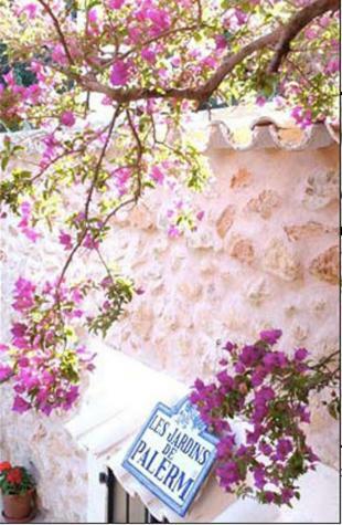 Boutique Hotel Jardines De Palerm