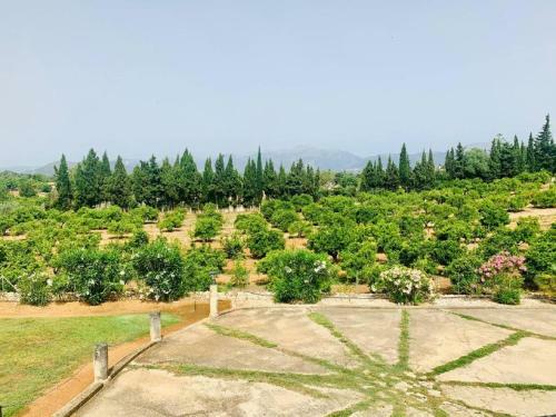 Finca Son Blai Petit-rentallorca
