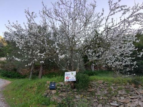 Villa Ses Abelles Sea View