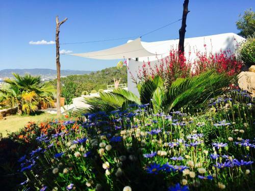 Blue Hill House Ibiza