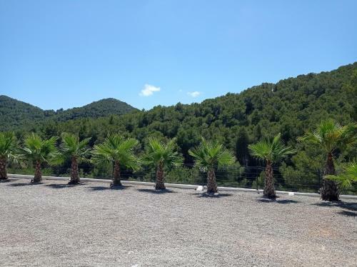 Villa Oud Ibiza