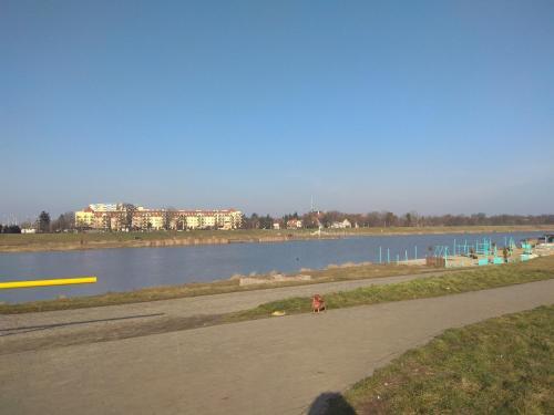 Apartamento Nighthost- Trzebnicka 84