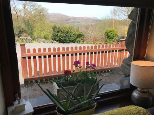 Bwythynod Helmau Cottages