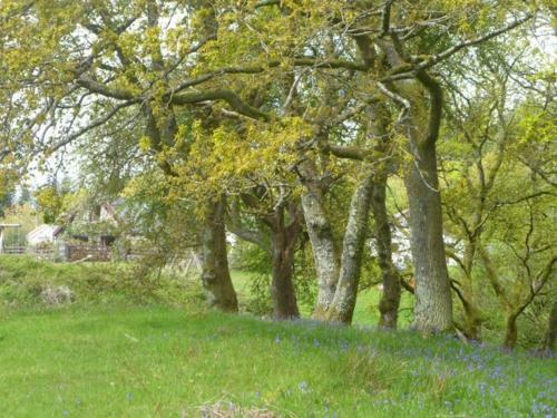 Bwythynod Helmau Cottages