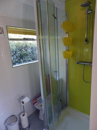 Hostal Coed Cae