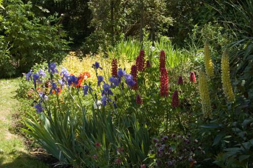 Shola Coach House B&B