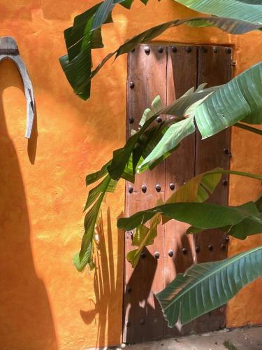 Bed & Breakfast La Dulcinea