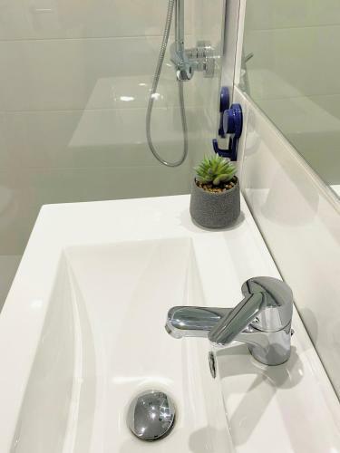 Lc Apartamentos C�sar Augusto