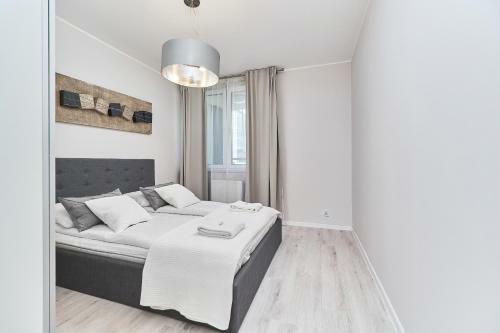Luxurious Apartments Gwiazdzista By Renters
