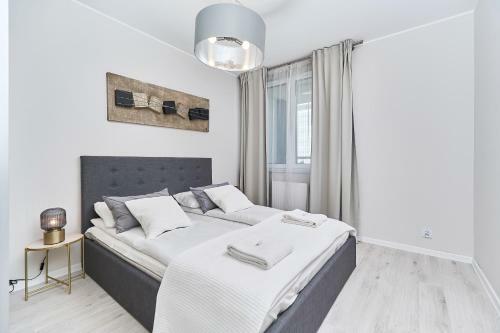 Luxurious Apartments Gwiazdzista By Renters