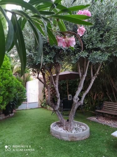 Apartamento Vivienda En Montecanal