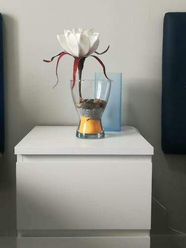 Apartamento Cesar Augusto House
