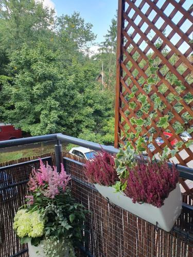 Apartament Pod Lasem