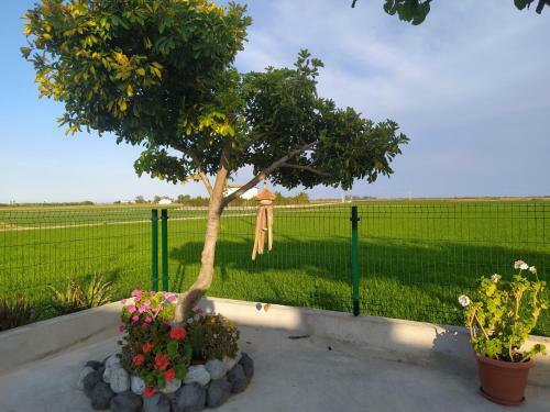Agroturismo Casa Rural Mas Panoli