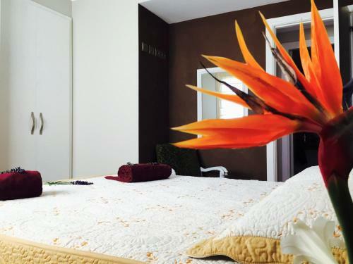 Apartamento Lo Raconet