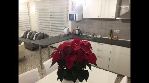 Apartamento La Terrasseta