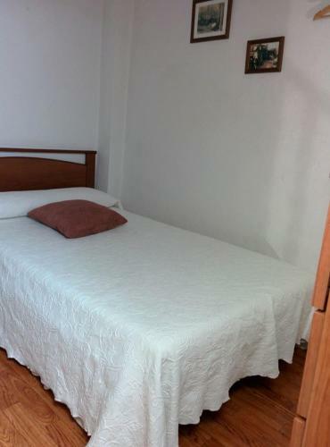 Caseta Manigotxa