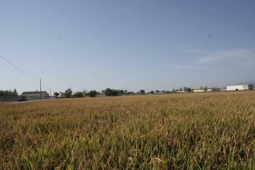 Agroturismo La Casilla