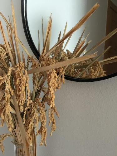 Apartament Lo Passador