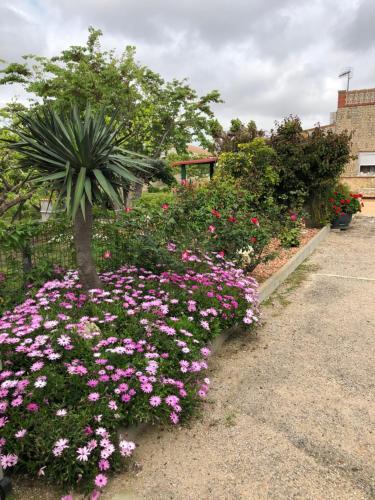 Casa Raboseta