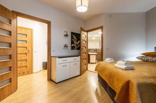 Apartament Just In Center