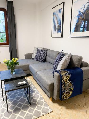 Cool's Apartment