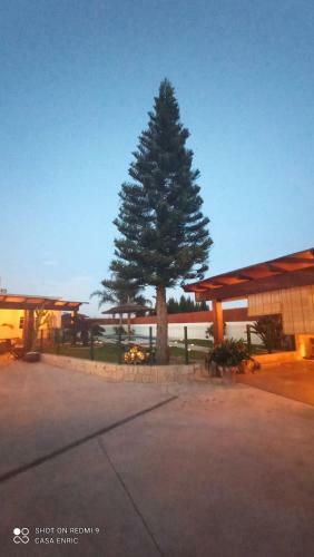 Casa De Sue�os Benasha