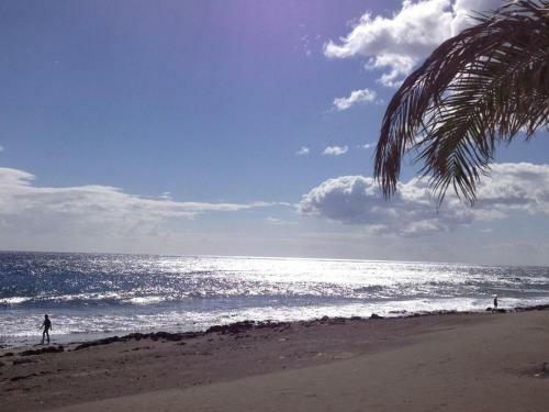 Bungalow Miami Beach Fd04 By Villagrancanaria