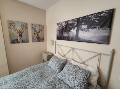 Apartamento Berde - Mirador Cerler 2