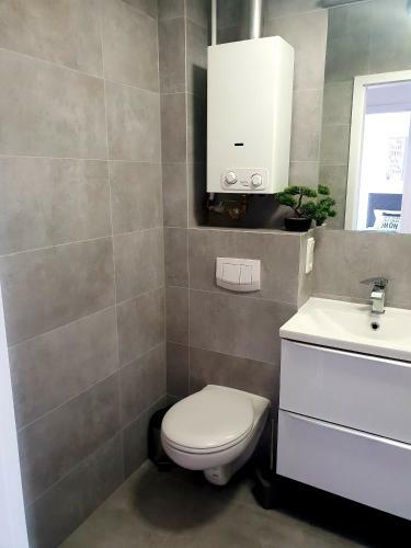 Apartament Altepost